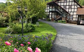 Iflands Hof